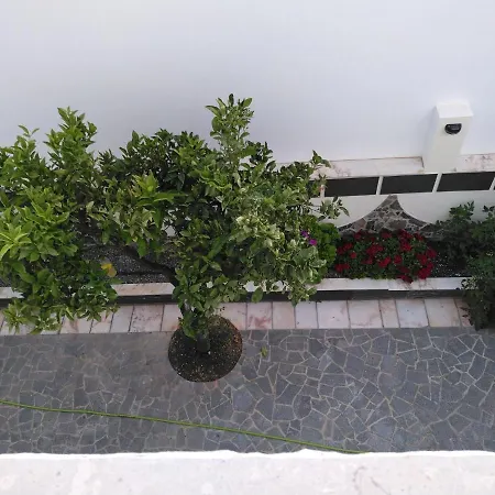 Holiday Rua De Santo Antonio بيت للعطل *